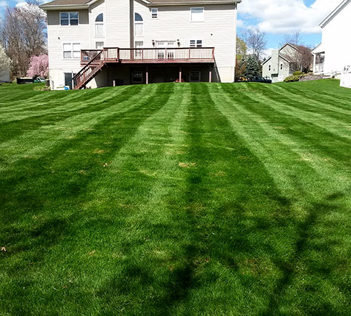 John Robbinson Lawn